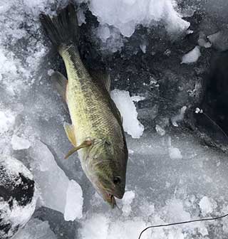 Guided Ice Fishing Trips